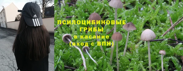 кокаин премиум Гусиноозёрск