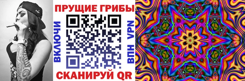 mega маркетплейс  закладка  Дедовск  Галлюциногенные грибы MAGIC MUSHROOMS 