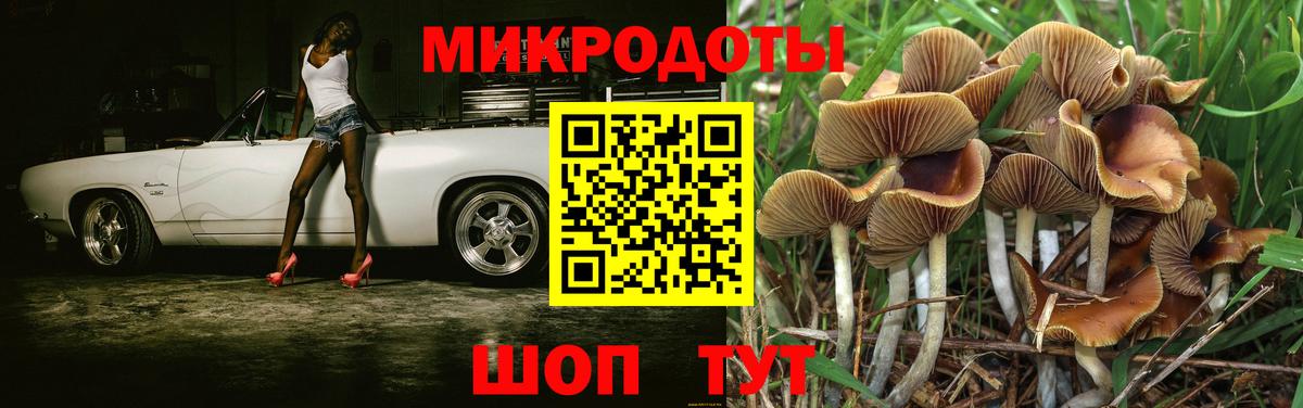 Псилоцибиновые грибы Cubensis Дедовск