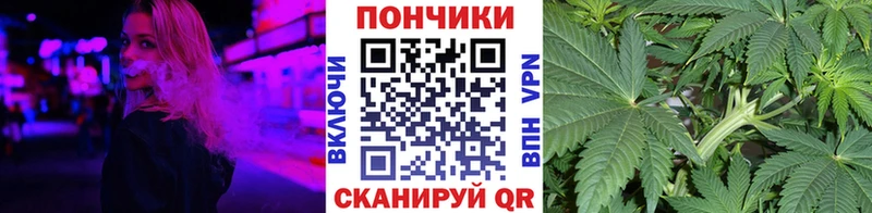Каннабис OG Kush  OMG зеркало  Дедовск 